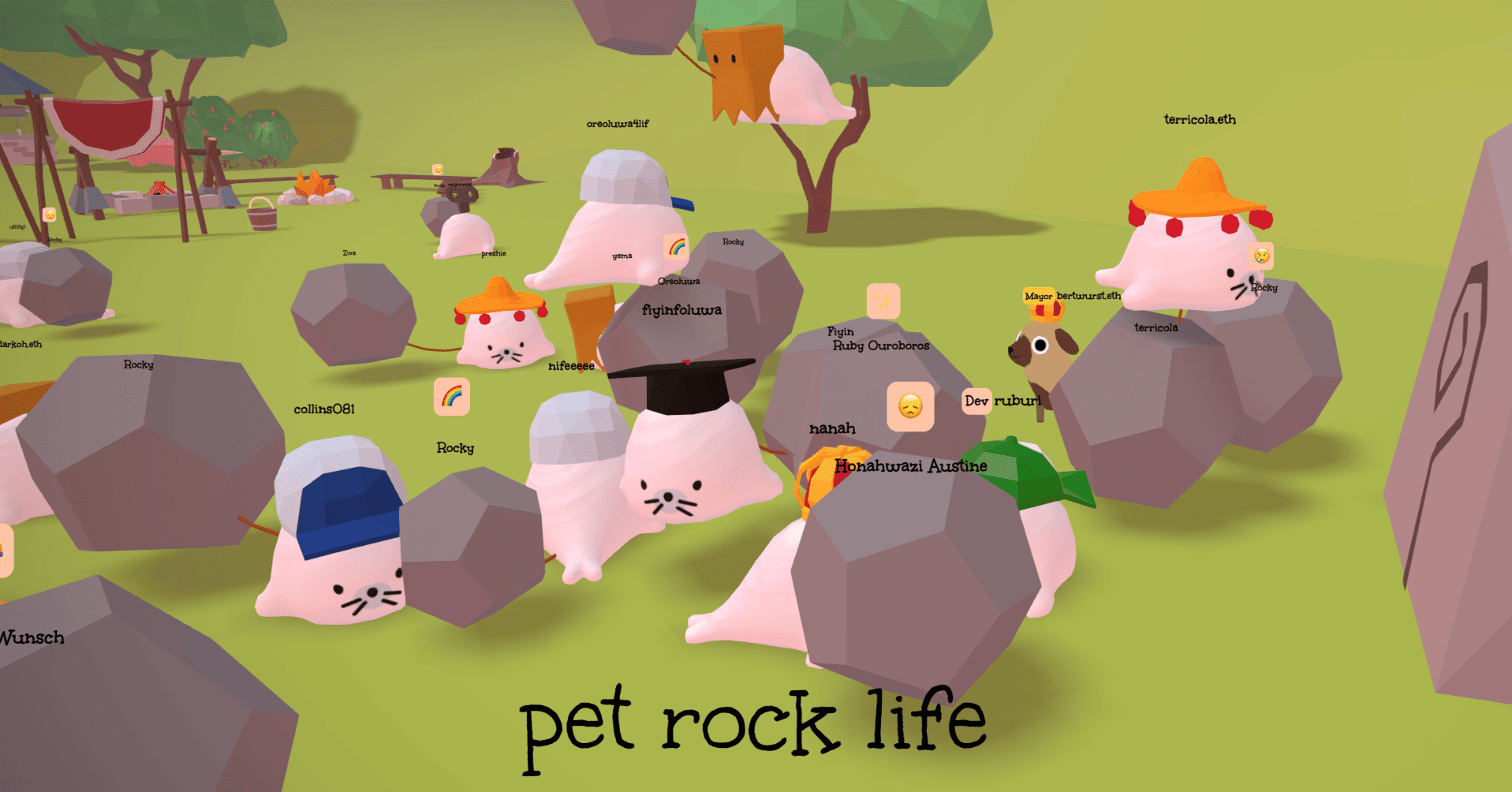 Pet Rock Life — Grow your rock
